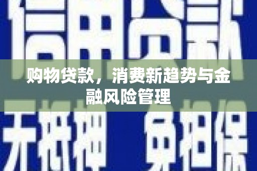 永济购物贷款，消费新趋势与金融风险管理