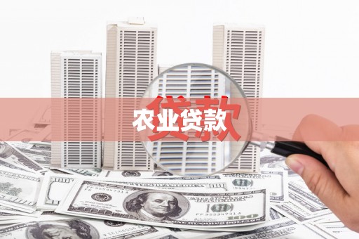 永济农业贷款