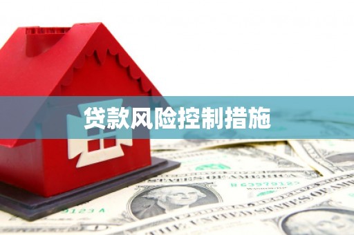 永济贷款风险控制措施