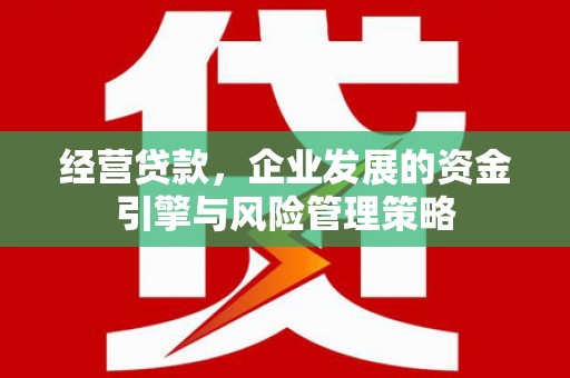 永济经营贷款，企业发展的资金引擎与风险管理策略