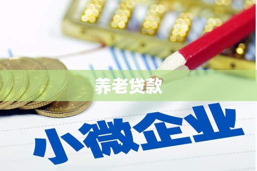 永济养老贷款