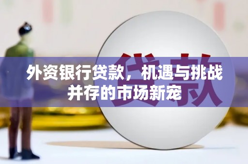 永济外资银行贷款，机遇与挑战并存的市场新宠