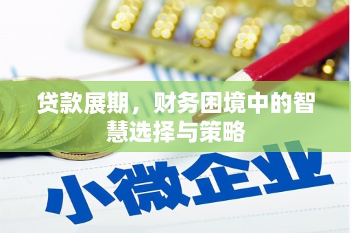 永济贷款展期，财务困境中的智慧选择与策略