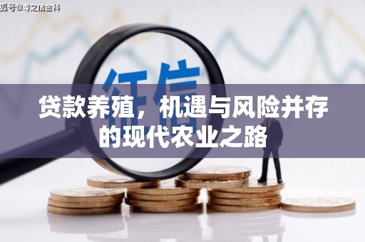 永济贷款养殖，机遇与风险并存的现代农业之路