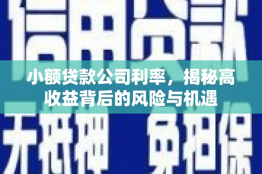 永济小额贷款公司利率，揭秘高收益背后的风险与机遇