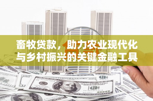永济畜牧贷款，助力农业现代化与乡村振兴的关键金融工具