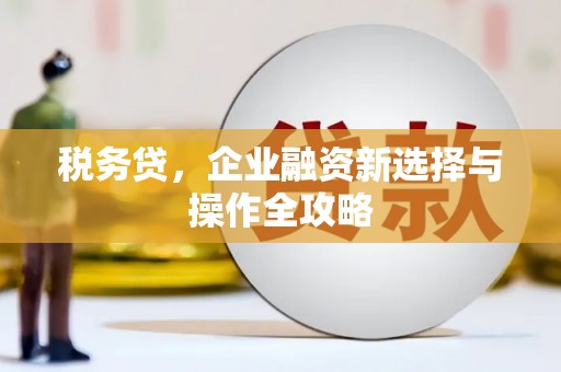 永济税务贷，企业融资新选择与操作全攻略