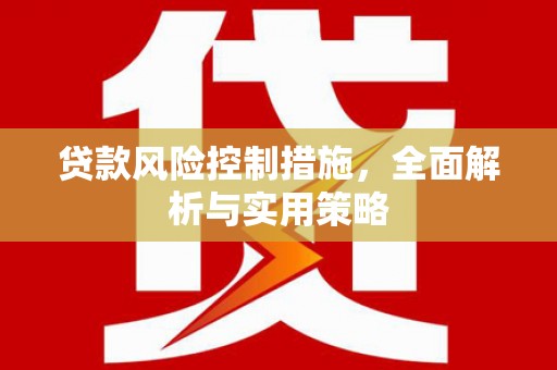 永济贷款风险控制措施，全面解析与实用策略
