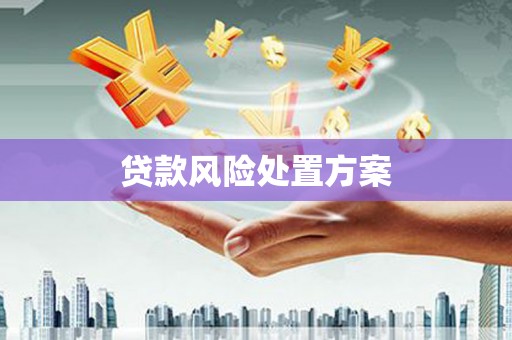 永济贷款风险处置方案