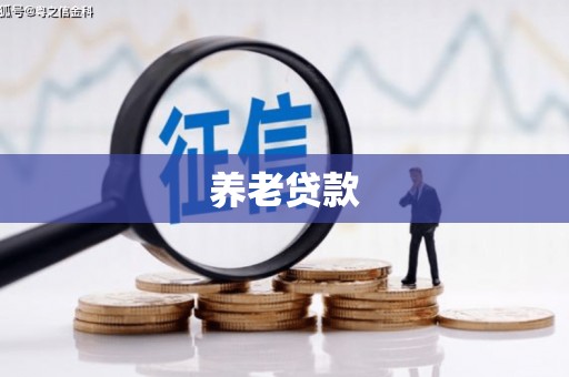 永济养老贷款