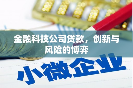 永济金融科技公司贷款，创新与风险的博弈
