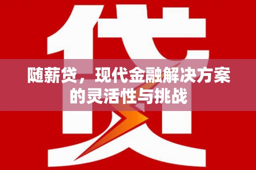 永济随薪贷，现代金融解决方案的灵活性与挑战