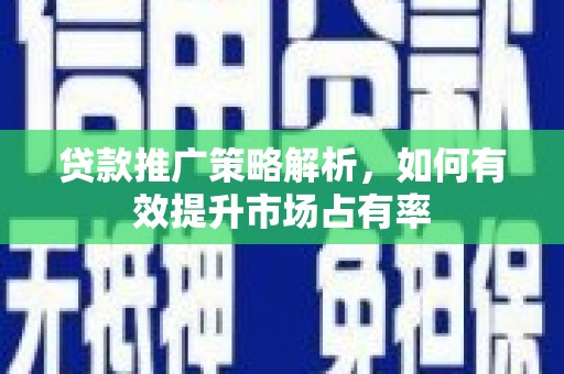 永济贷款推广策略解析，如何有效提升市场占有率