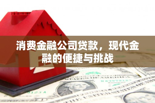 永济消费金融公司贷款，现代金融的便捷与挑战