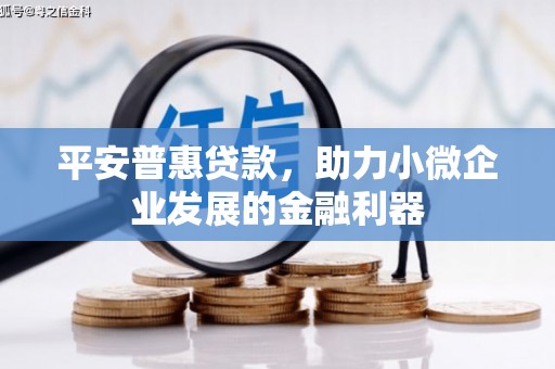 永济平安普惠贷款，助力小微企业发展的金融利器