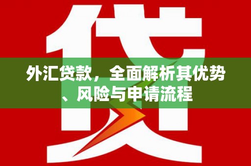 永济外汇贷款，全面解析其优势、风险与申请流程