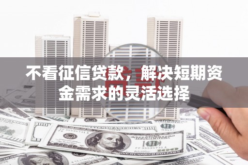 永济不看征信贷款，解决短期资金需求的灵活选择