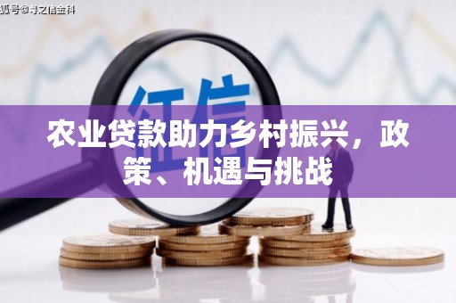 永济农业贷款助力乡村振兴，政策、机遇与挑战