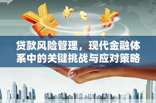 永济贷款风险管理，现代金融体系中的关键挑战与应对策略