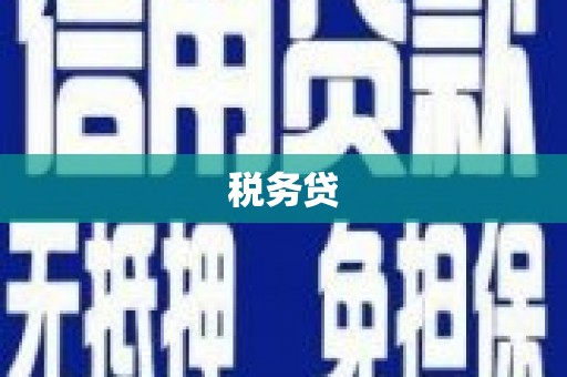 永济税务贷