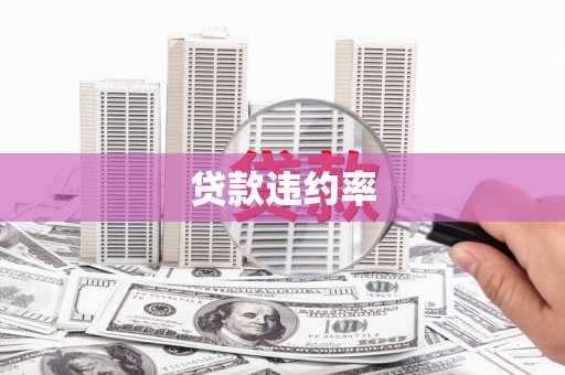 永济贷款违约率