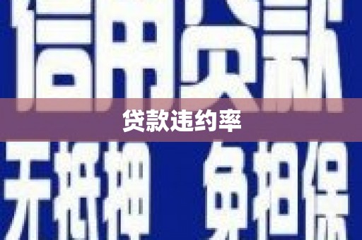 永济贷款违约率