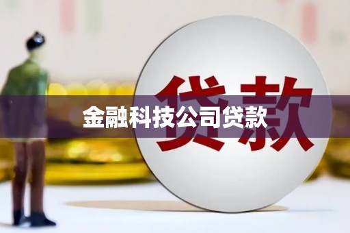 永济金融科技公司贷款