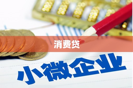 永济消费贷