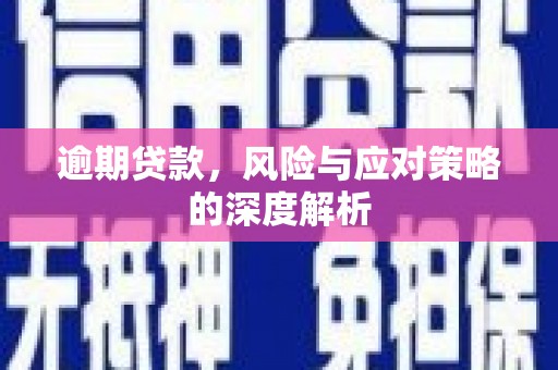 永济逾期贷款，风险与应对策略的深度解析