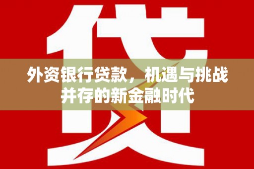 永济外资银行贷款，机遇与挑战并存的新金融时代