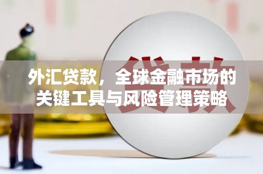 永济外汇贷款，全球金融市场的关键工具与风险管理策略