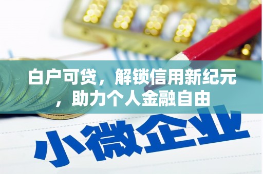 永济白户可贷，解锁信用新纪元，助力个人金融自由