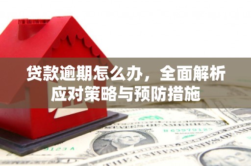 永济贷款逾期怎么办，全面解析应对策略与预防措施