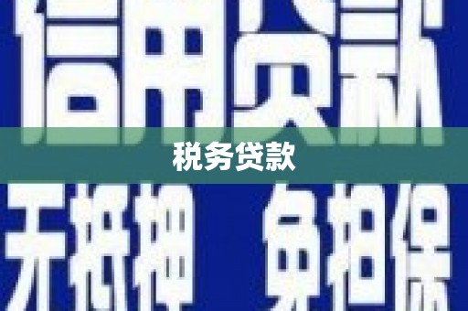 永济税务贷款