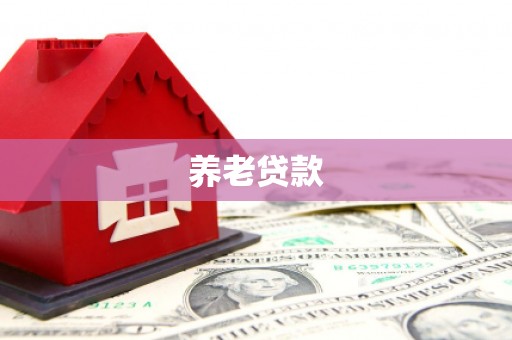 永济养老贷款