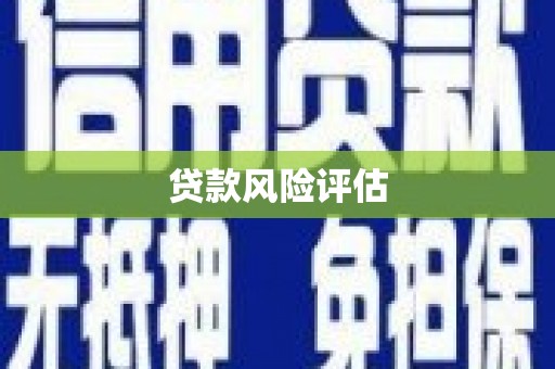 永济贷款风险评估