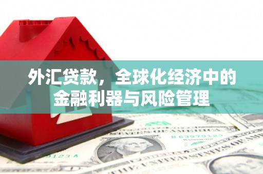 永济外汇贷款，全球化经济中的金融利器与风险管理