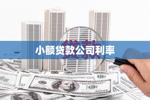 永济小额贷款公司利率