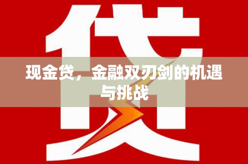 永济现金贷，金融双刃剑的机遇与挑战
