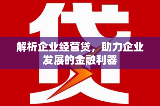 永济解析企业经营贷，助力企业发展的金融利器