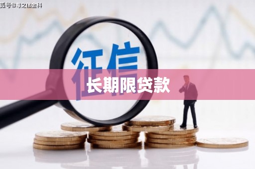 永济长期限贷款