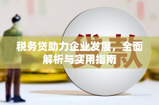 永济税务贷助力企业发展，全面解析与实用指南