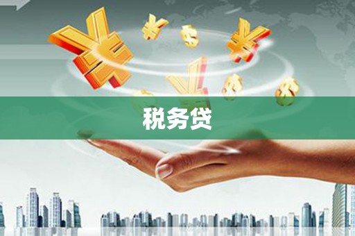 永济税务贷