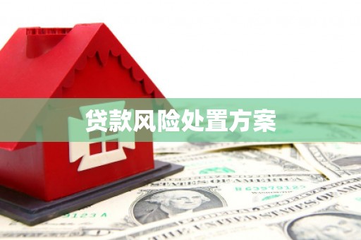 永济贷款风险处置方案