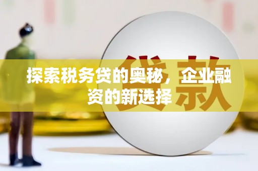 永济探索税务贷的奥秘，企业融资的新选择