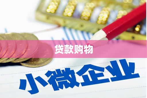 永济贷款购物