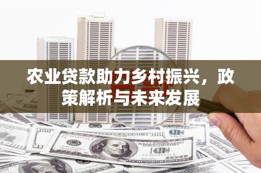 永济农业贷款助力乡村振兴，政策解析与未来发展