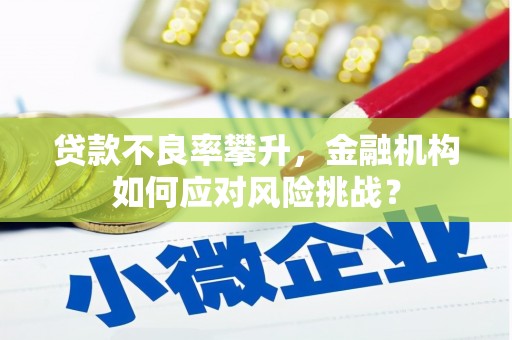 永济贷款不良率攀升，金融机构如何应对风险挑战？