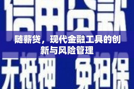 永济随薪贷，现代金融工具的创新与风险管理