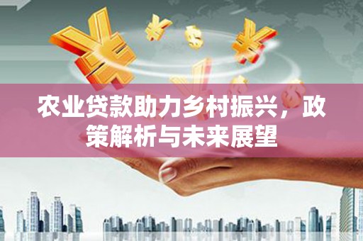 永济农业贷款助力乡村振兴，政策解析与未来展望
